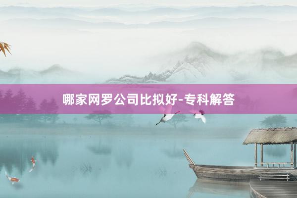 哪家网罗公司比拟好-专科解答