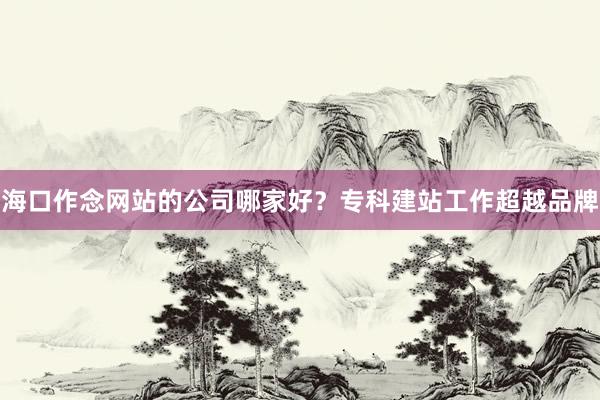 海口作念网站的公司哪家好？专科建站工作超越品牌