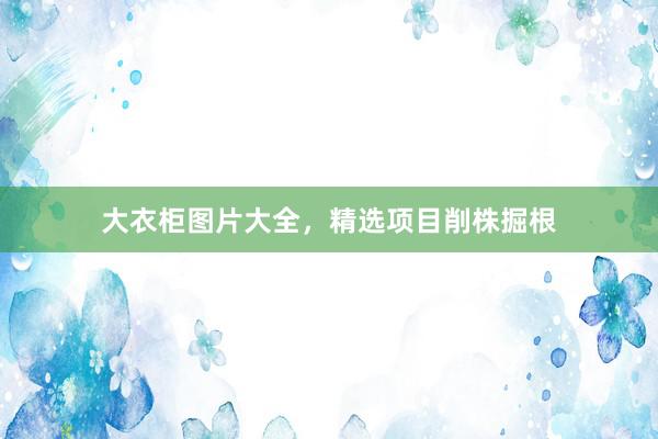 大衣柜图片大全，精选项目削株掘根