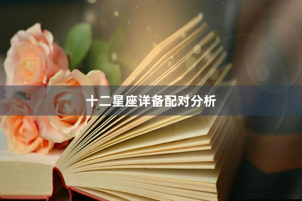 十二星座详备配对分析