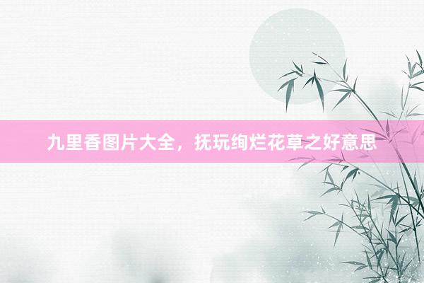 九里香图片大全，抚玩绚烂花草之好意思